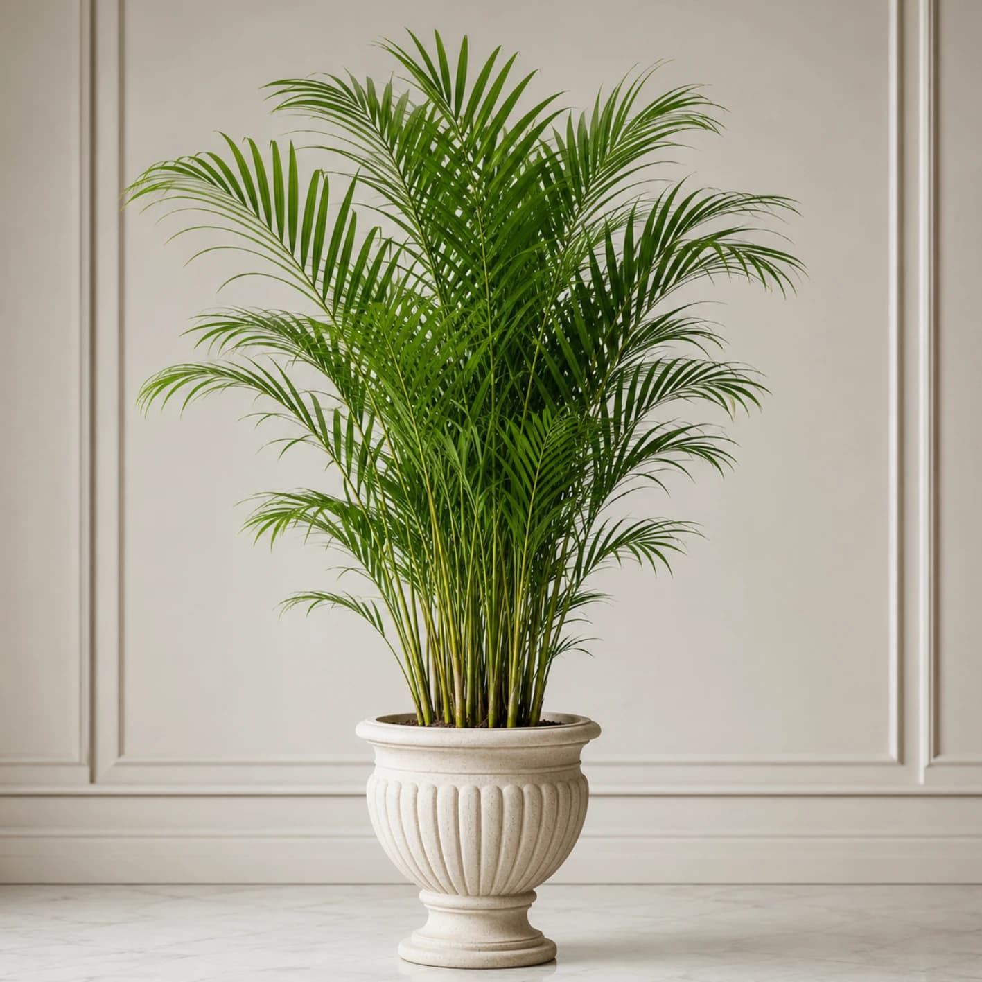 Grexo Areca Palm Tree